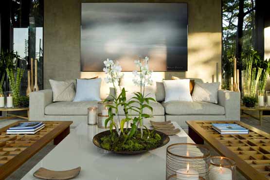 11 Decoração com plantas