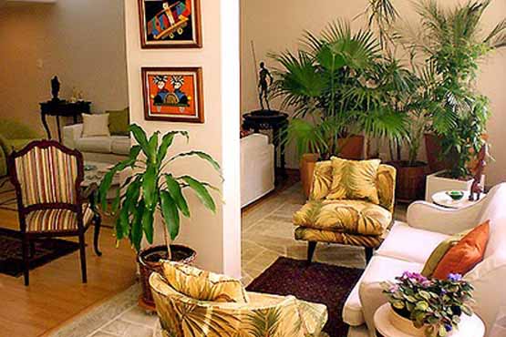 12 Decoração com plantas