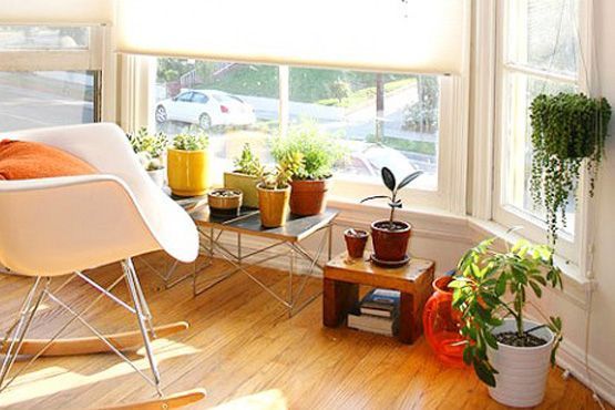16 Decoração com plantas