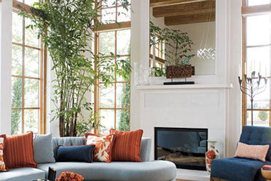 20 Decoração com plantas