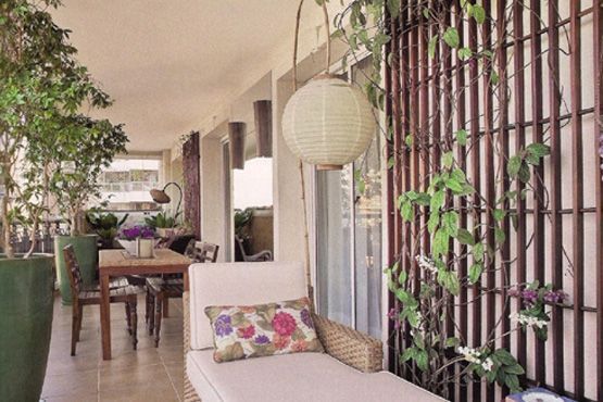 21 Decoração com plantas