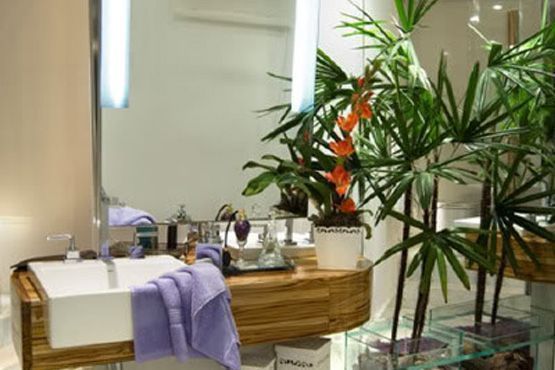 26 Decoração com plantas
