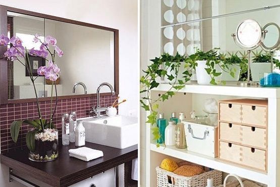4 Decoração com plantas