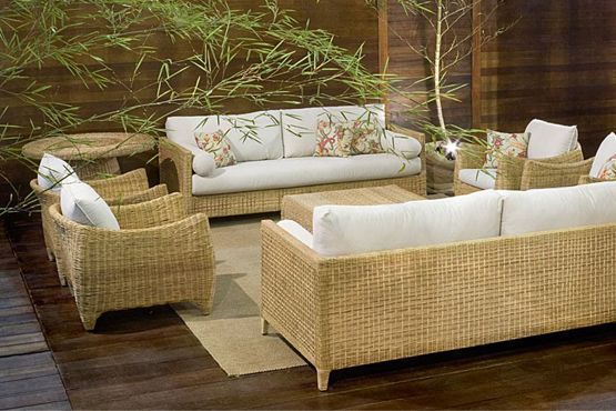 6 Decoração com plantas