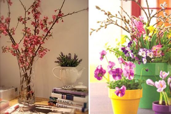 9 Decoração com plantas