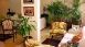 thumbs 12 Decoração com plantas