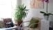 thumbs 17 Decoração com plantas