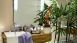 thumbs 26 Decoração com plantas