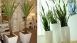 thumbs 5 Decoração com plantas