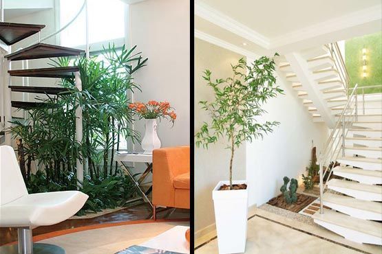 Feng Shui na escada feng shui 4 Feng Shui – Aprenda a harmonizar sua casa