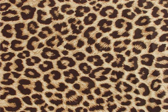 animal print Guia de estampas