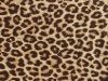 thumbs animal print Guia de estampas