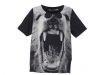 thumbs 6 blusa cachorro Animal face: a tendência das roupas com estampa de rosto de animais