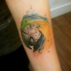 tattoo-aquarela-21 tattoo-aquarela-21