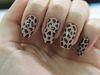 thumbs 1 Unhas de oncinha