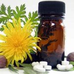 fitoterapia 150x150 Fitoterapia: soluções que vêm da natureza