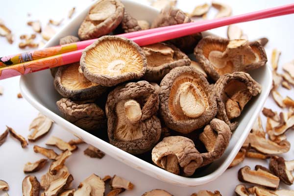 beneficios-cogumelo-shitake beneficios cogumelo shitake Os benefícios do cogumelo shiitake