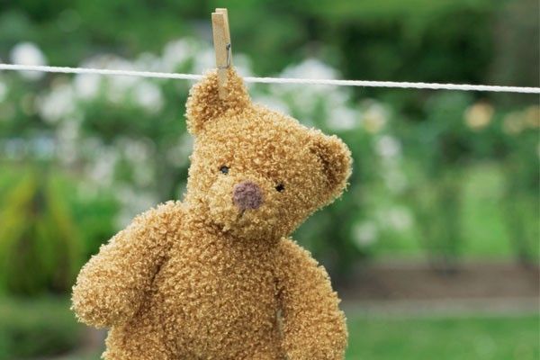 bichos pelucia limpos Mantenha os bichinhos de pelúcia limpos