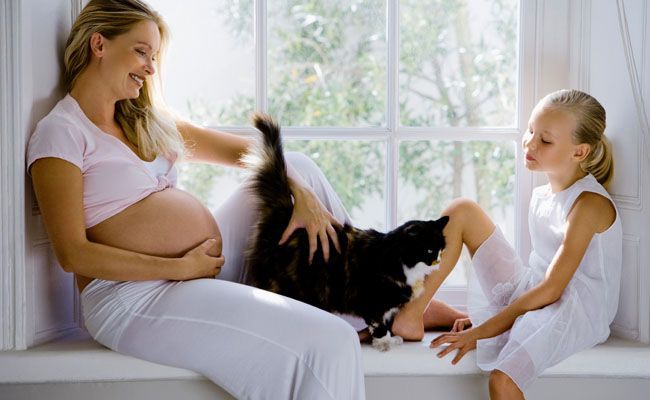 toxoplasmose