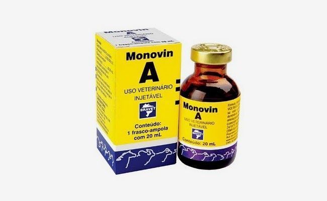 monovin a o que e Monovin A: o que é e para que serve afinal?