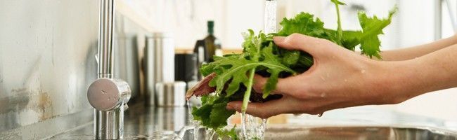 lavar frutas verduras legumes Feira: consiga os melhores alimentos e preços na época certa