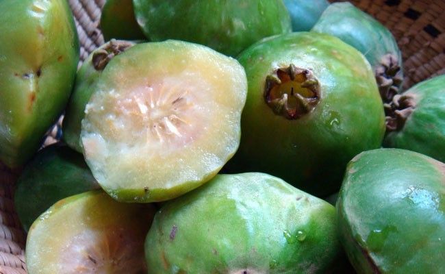 fruta-cambuci