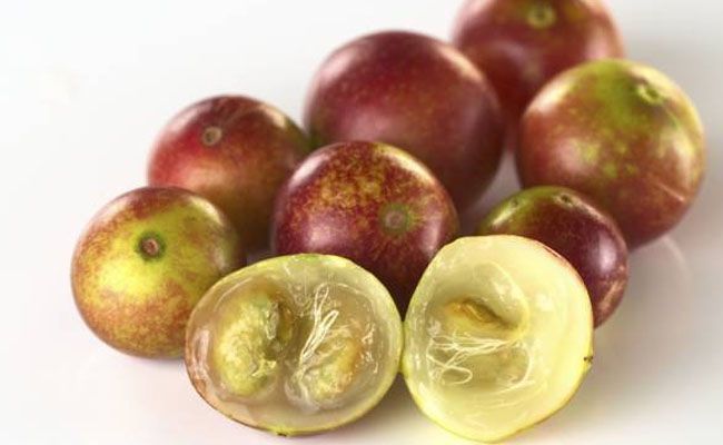 fruta-camu-camu