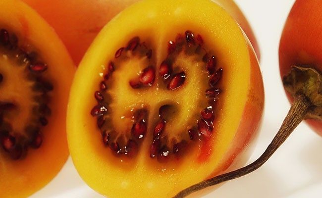 fruta-tamarillo