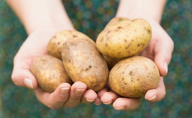 usos-diferentes-da-batata