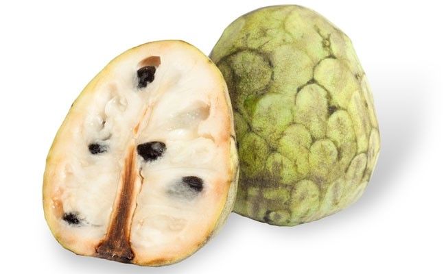 cherimoia-2