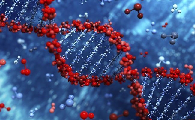 dicas-para-desligar-os-genes-que-facilitam-o-ganho-de-peso-2