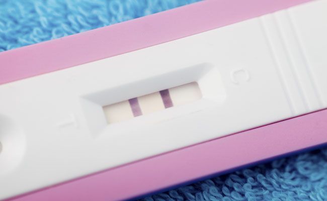 inseminacao-artificial-4