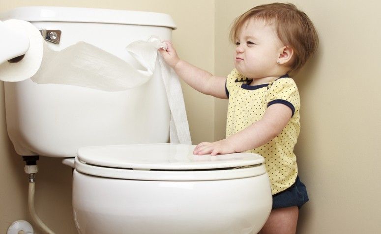 10 formas de desentupir vaso sanitário sem sujeira - Dicas de Mulher