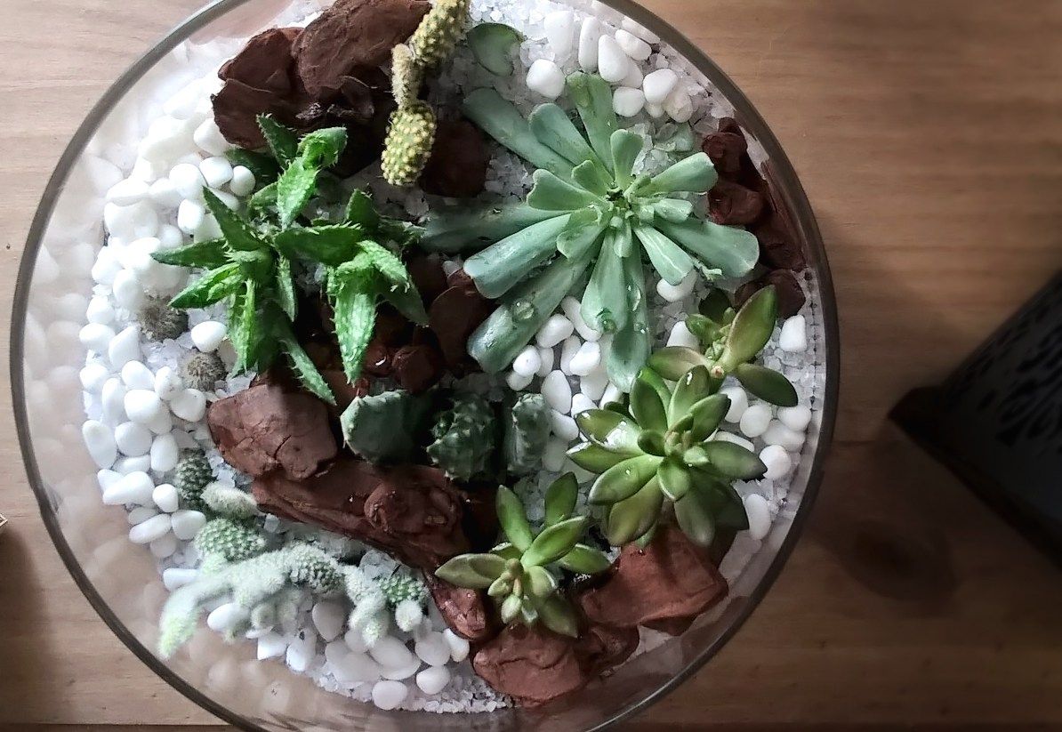 Foto: Reprodução / A Terráquea