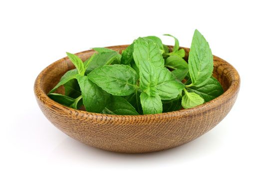 Rica em vitaminas A,B e C e também em cálcio, fósforo, ferro e potássio, a hortelã estimula a boa digestão.