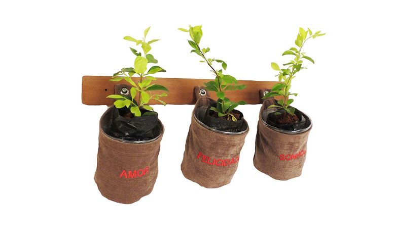 Kit Plante Felicidade por R$ 89,00 na <a href="http://www.redeasta.com.br/kit-plante-felicidade.html" target="_blank">Asta</a>