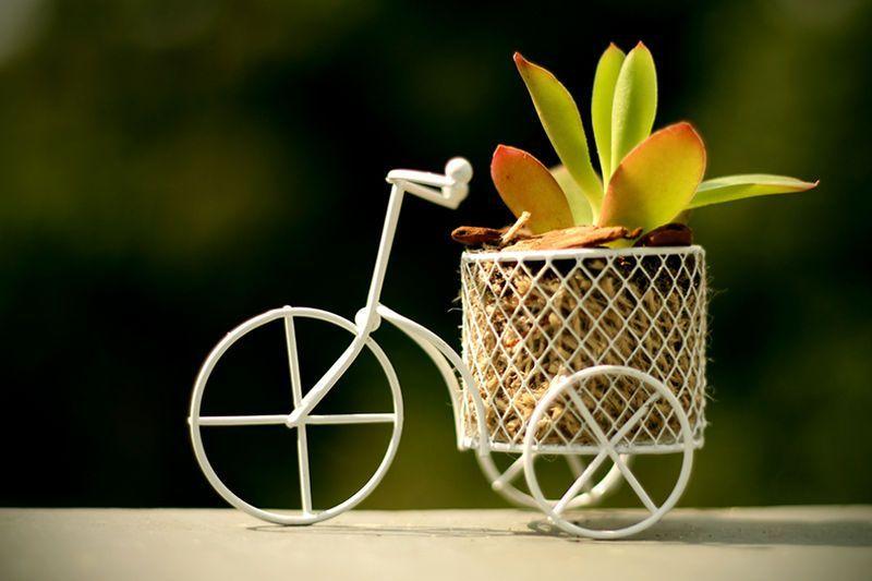 Mini jardim na bicicleta por R$ 25 na <a href="http://osminimundos.tanlup.com/product/1016521/verde-bike" target="_blank">Os mini mundos</a>