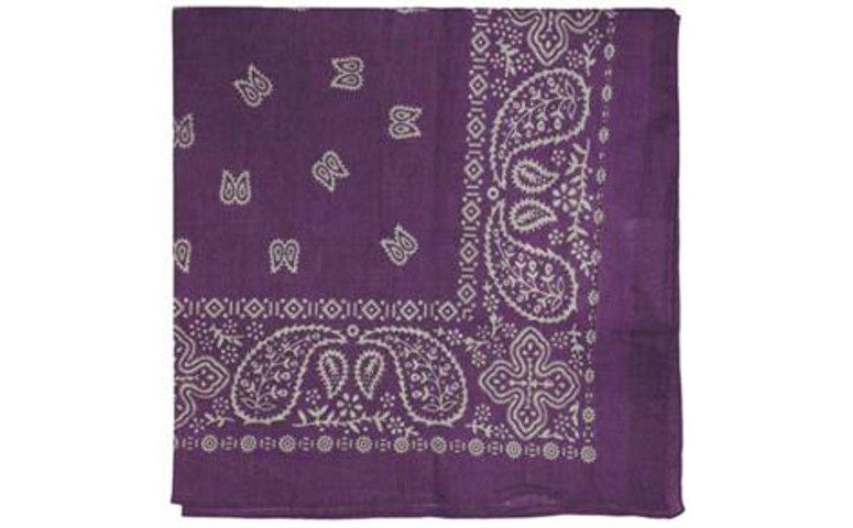 Bandana de algodão cor uva por R$ 7,90 no <a href="http://www.extra.com.br/Moda/AcessoriosdeModa/LencosCachecois/Bandana-53X53-Algodao---Uva-2440772.html" target="blank_">Extra</a>