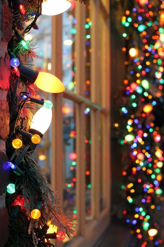 Foto: Reproducción / Siempre soñando con la Navidad