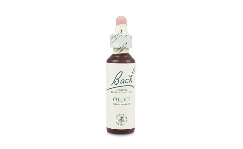 Bach Olive från R $ 53,50 i Biovea