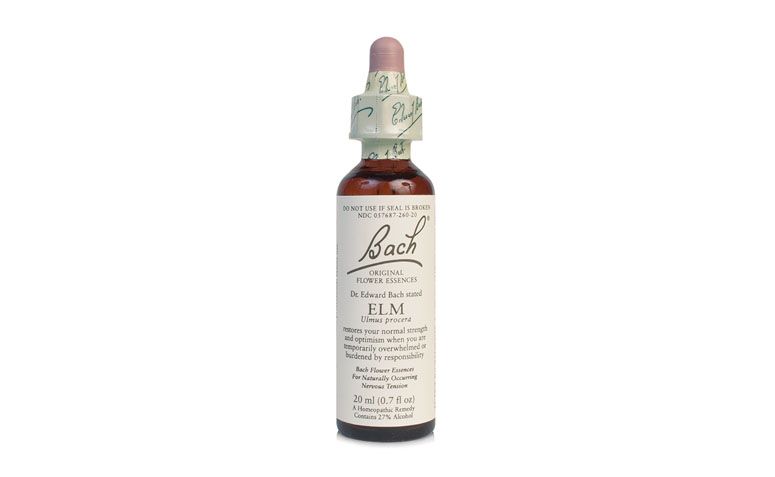 Bach Elm från R $ 50,05 i Biovea