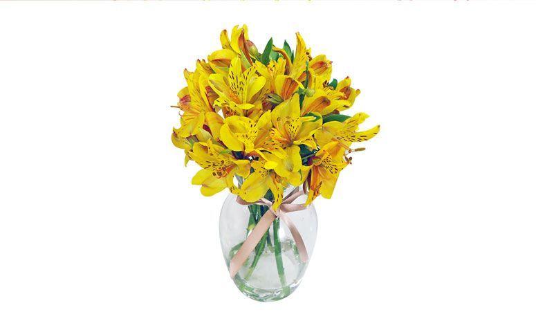 Arranjo admiração amarela no vaso por R$ 59,90 na <a href="http://www.giulianaflores.com.br/departamento-raiz/admiracao-amarela-no-vaso/p12137-d0/?src=flor29e90" target="_blank">Giuliana Flores</a>