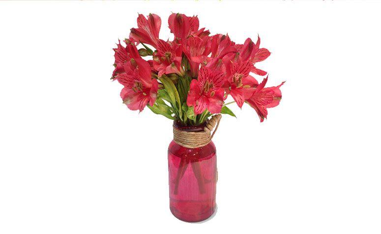 Arranjo Brilho de Luz por R$ 52,00 na <a href="http://www.gardeniaflores.com.br/arranjos/brilho-de-luz" target="_blank">Gardenia Flores</a>
