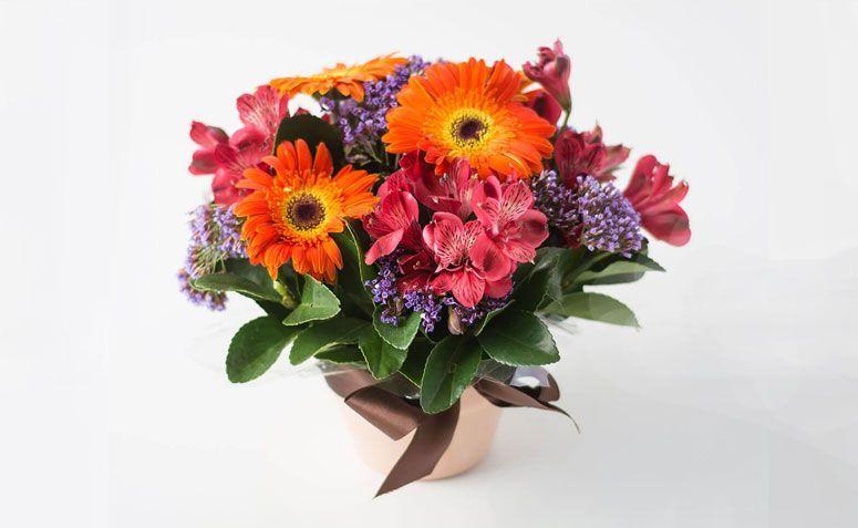 Arranjo de flores do campo cores vivas por R$ 119,90 na <a href="http://www.isabelaflores.com/tipos-de-arranjos/arranjos-de-flores/arranjos-de-flores-do-campo-coloridas/arranjo-de-flores-do-campo-coloridas-em-cores-vivas.html" target="_blank"> Isabela Flores </a>