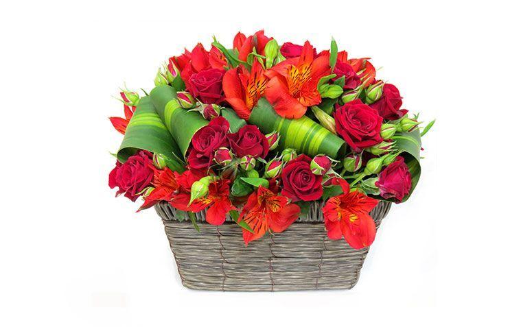 Arranjo “Tudo de bom pra você” por R$ 94,00 na <a href="https://www.operagarden.com.br/produto/6428/tudo-de-bom-pra-voce" target="_blank">Ópera Garden</a>