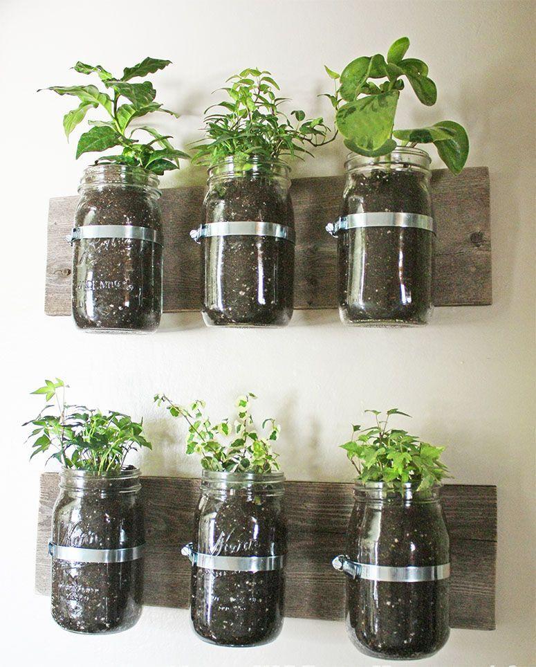 Foto: Reprodução / <a href="http://www.notjustahousewife.net/2011/08/mason-jar-wall-planter.html" target="_blank">Not Just a Housewife</a>