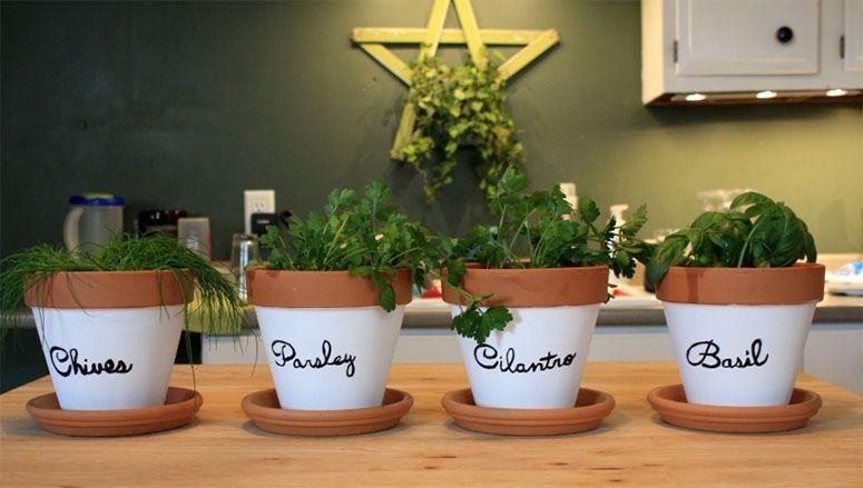 Foto: Reprodução / <a href="http://brookenotonadiet.com/2014/04/23/diy-indoor-herb-garden/" target="_blank">Brooke: Not On a Diet</a>