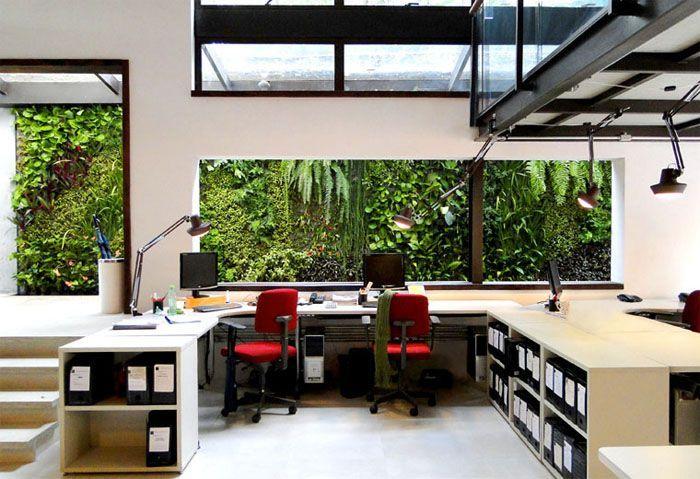 Foto: Reprodução / <a href="http://www.verdevertical.com/PL_02465.html" target="blank_">Verde Vertical</a>