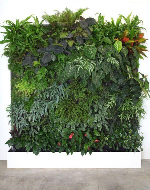 Foto: Reprodução / <a href="http://www.verdevertical.com/PL_02465.html" target="blank_">Verde Vertical</a>