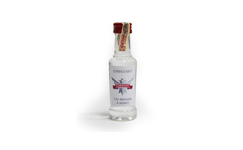 Mini Smirnoff (10 jednostek) dla R $ 250.00 w Baby.art.br